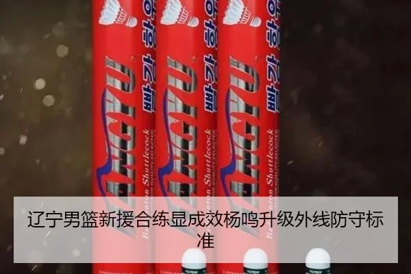 辽宁男篮新援合练显成效杨鸣升级外线防守标准
